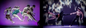 puzzle_bounce_foto_di_tomato_noire_legg