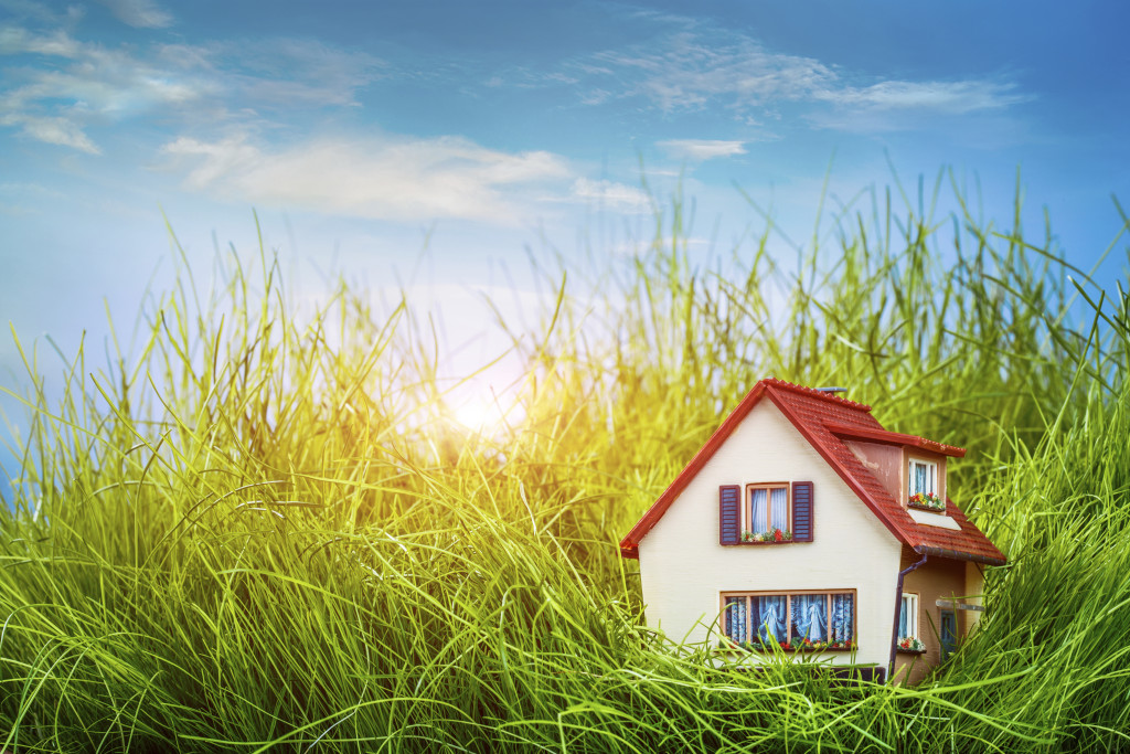 House on the green grass