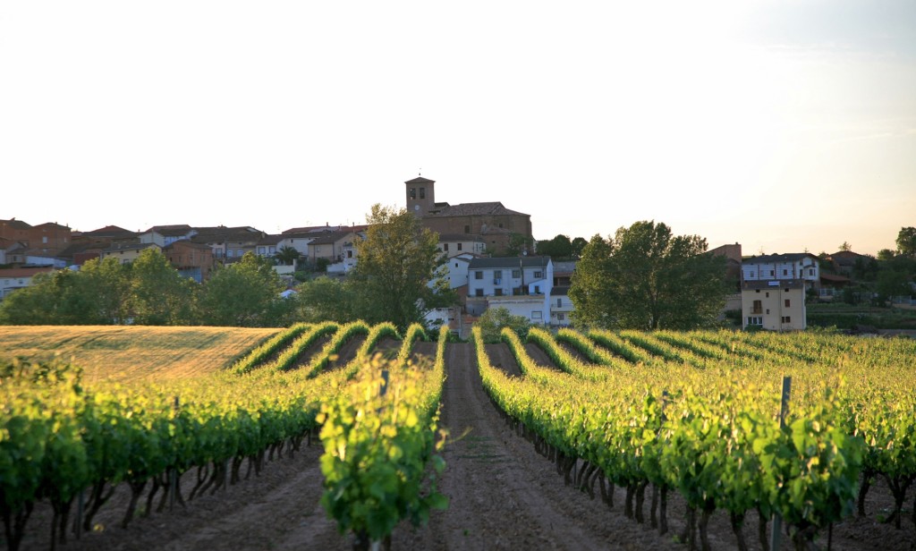 La Rioja - HomeToGo