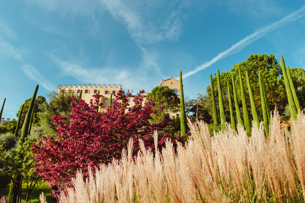Riso ai Giardini di Sissi 2