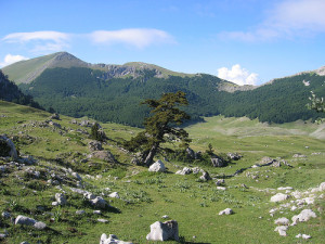 Uno scatto del Parco Nazionale del Pollino