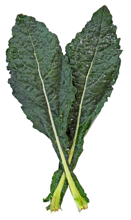 Cavolo-Kale-RivistaDonna.com