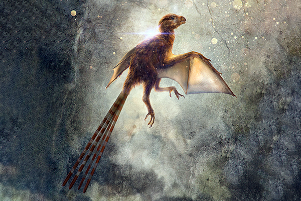 Fossile-RivistaDonna.com