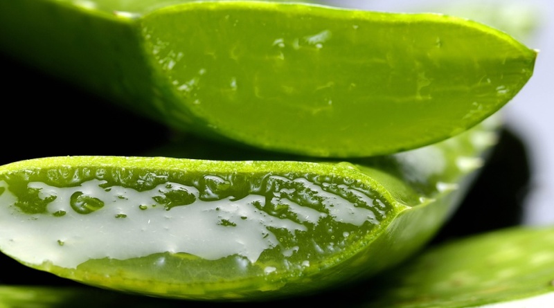 Aloe-Vera-RivistaDonna.com