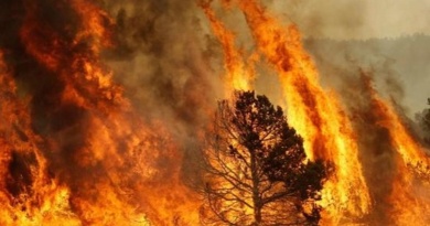 Incendi-Ogliastra-RivistaDonna.com