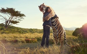 tiger_and_boy_friendship_