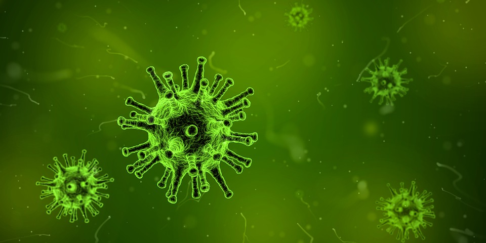 West-Nile-Virus-RivistaDonna.com