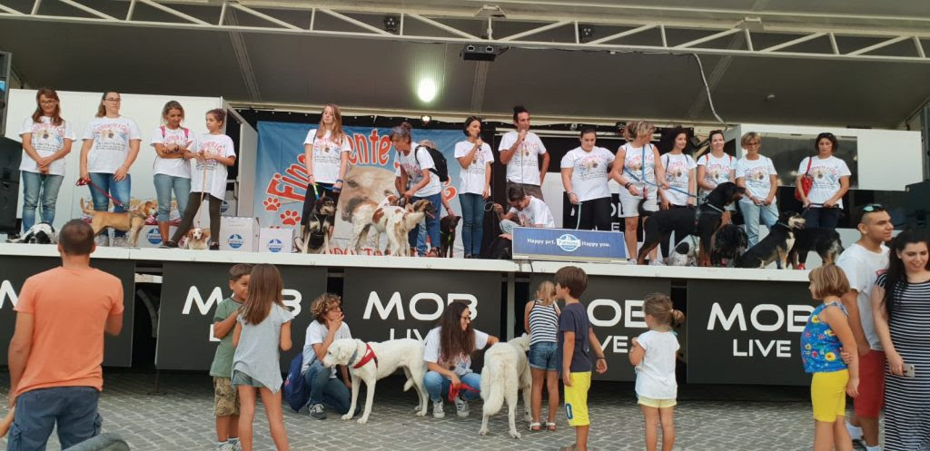 Cani-Finalmente-a-Casa-RivistaDonna.com